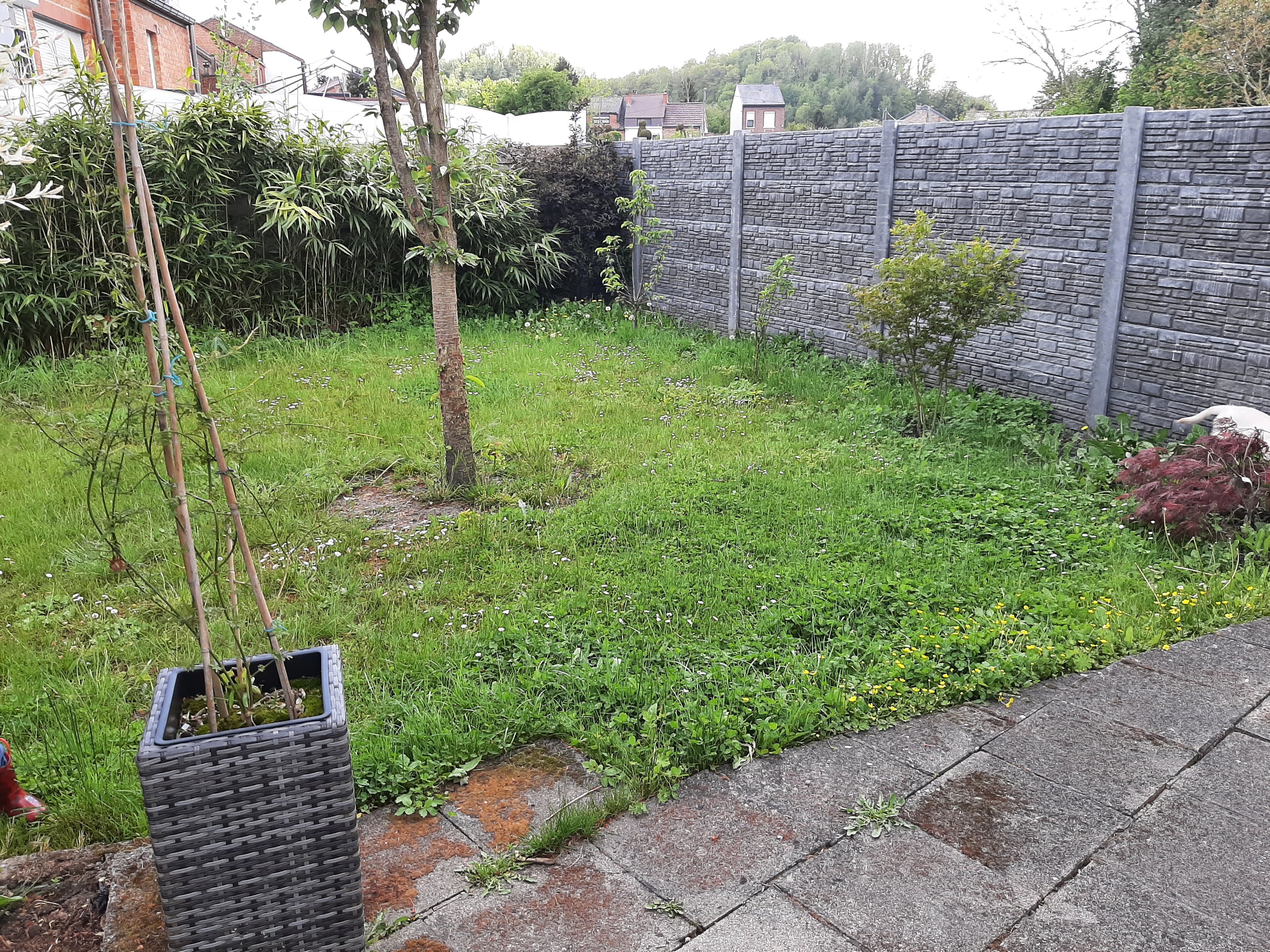 20210516_172659 - Copie